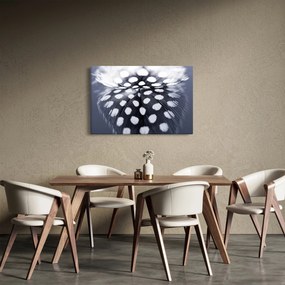 Obraz - Pierko (90x60 cm)