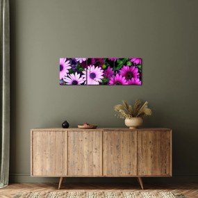 Obraz - Kvety (s hodinami) (90x30 cm)