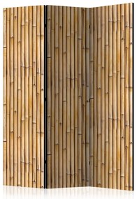 Artgeist Paraván - Amazonian Wall [Room Dividers]
