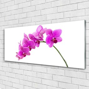 Obraz plexi Vstavač kvet orchidea 125x50 cm