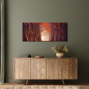 Obraz - Jesenné les (120x50 cm)
