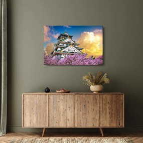 Obraz - Osacký hrad (90x60 cm)