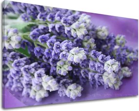 Obraz na stenu KVETY XOBKV123E11 - 60x90 cm