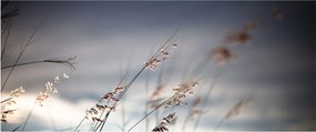 Obraz - Lúčne kvety pri jazere (120x50 cm)