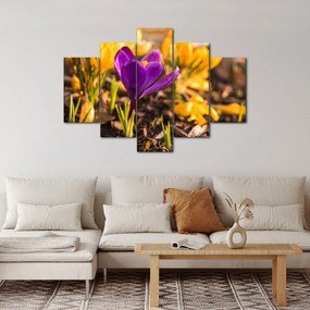 Obraz fialovej kvetiny (150x105 cm)