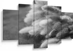 Obraz - bunny tail grass na stole (150x105 cm)