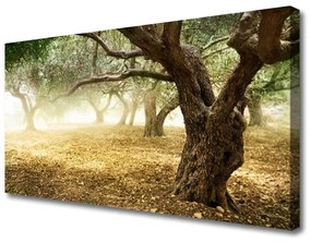 Obraz na plátne Strom tráva príroda 140x70 cm