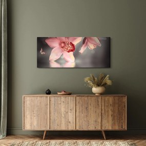 Obraz - Kvety a motýľ (120x50 cm)