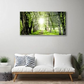 Skleneny obraz Les slnko chodník príroda 125x50 cm