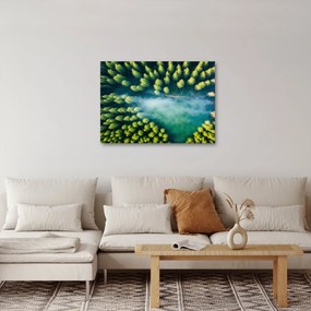 Obraz - Hmlou zahalený les (70x50 cm)