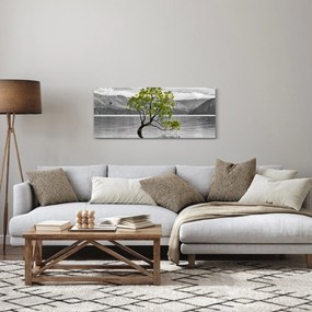 Obraz stromu uprostred jazera (120x50 cm)
