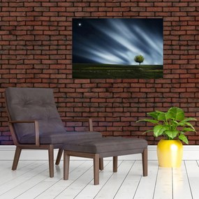 Obraz polárna žiara nad vresoviskom (90x60 cm)