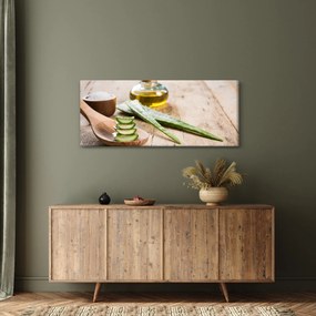 Obraz - Aloe vera (120x50 cm)