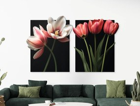 drevko |  Dvojdielny obraz Romantické tulipány  45 x 74 cm