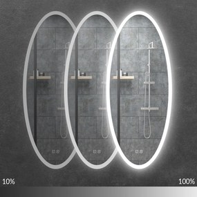 Rea Oval, LED zrkadlo 50x120cm WWA, HOM-06502