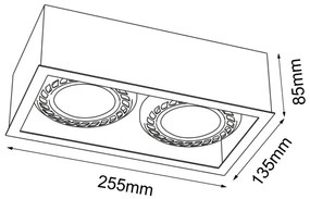 Brosline 1274 - Točkovna svetilka CAGE 2xGU10/18W/230V bela