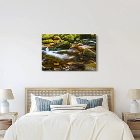 Obraz potôčiku (90x60 cm)