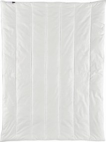 XXXLutz CELOROČNÁ PRIKRÝVKA, 200/220 cm, polyester Centa-Star - Prikrývky & vankúše - 003503029404