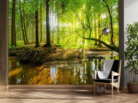 Gario Fototapeta Potok v lese pri východe slnka Materiál: Vliesová, Rozmery: 300 x 210 cm
