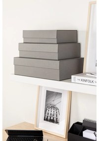 Sivé kartónové úložné boxy v súprave 3 ks s vekom/dekoratívne 42,5x29,5x13 cm Kian Paper Laminate – Bigso