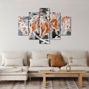 Obraz - Zamrznuté listy (150x105 cm)