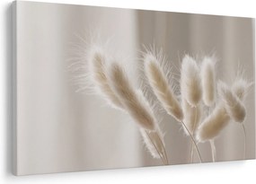 Obraz - Zajačie chvostíky (90x60 cm)