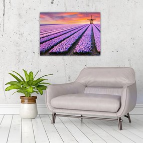 Sklenený obraz - kvetinová farma (70x50 cm)