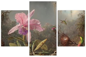Obraz - Martin Johnson Heade, Cattleya Orchid and Three Hummingbirds, reprodukcia (90x60 cm)