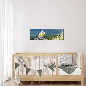 Obraz - Jar v Alpách (s hodinami) (90x30 cm)