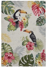 Vonkajší koberec 240x340 cm Flair – Hanse Home