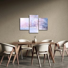 Obraz - Mrazivá zima (90x60 cm)