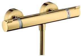 Hansgrohe Ecostat - Sprchový termostat comfort na stenu, vzhľad zlata 13116990
