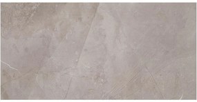 Obklad Muse Silver 29,8/59,8