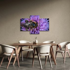 Obraz včely na kvetine (90x60 cm)