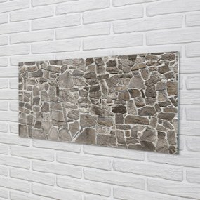 Obraz plexi Kamenného muriva tehla 100x50 cm