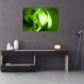 Obraz - Steblo trávy (90x60 cm)