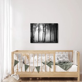 Obraz - Vlk v temnom lese (70x50 cm)