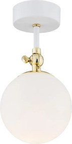 Argon 4002 - Kúpeľňové prisadené stropné svietidlo LATINA 1xE14/7W/230V IP44 biela/zlatá