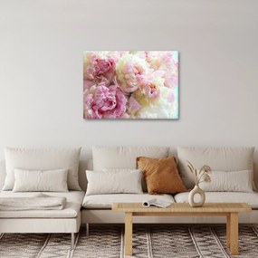 Obraz - Pivonky (70x50 cm)