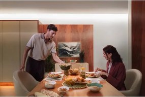Philips - LED RGBW stmievateľný pás Hue FLUX 5m LED/48W/230V 2200-6500K