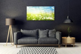 Obraz na skle Lúka sedmokrásky príroda 100x50 cm