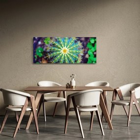 Obraz kaktusu (120x50 cm)