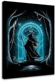 Gario Obraz na plátne Pán prsteňov, čarodejník v lese - DDJVigo Rozmery: 40 x 60 cm