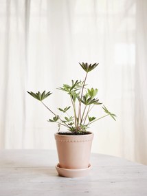 Malý kvetináč Helena s podstavcom s glazúrou 12 cm ružový