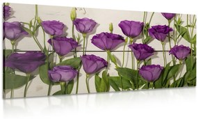 Obraz nádherné fialové kvety