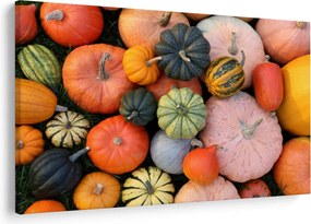 Obraz - Tekvica (90x60 cm)