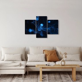 Obraz - Medúzy (90x60 cm)