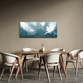 Obraz - Biela pierka (120x50 cm)