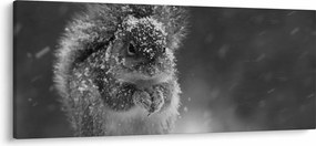 Obraz - Veverička v zime (120x50 cm)