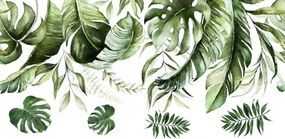 Nálepka na stenu do interiéru s motívom listov rastliny monstera 120 x 240 cm